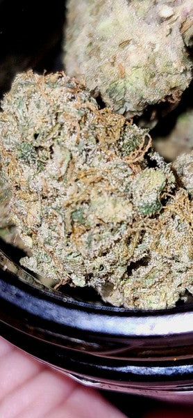 Blue Nerds Hybrid - Indoor AAA Cannabis 5g | Dis-can Johannesburg