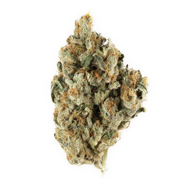 Blue Nerds Hybrid - Indoor AAA Cannabis 5g | Dis-can Johannesburg - image 5
