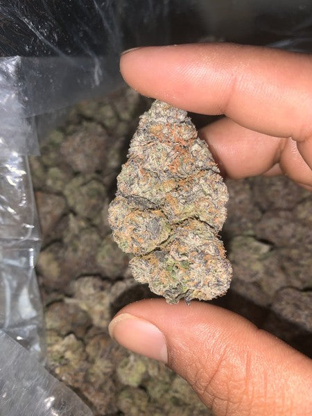 Blue Nerds Hybrid - Indoor AAA Cannabis 5g | Dis-can Johannesburg