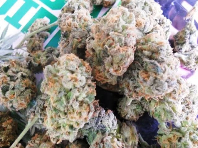 Blueberry (USA) Hybrid - Indoor AAA Cannabis 1g | Dis-can Johannesburg - image 1