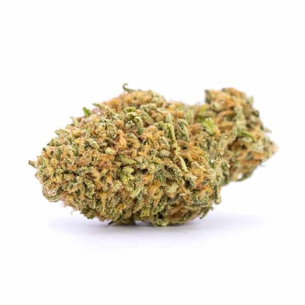 Bruce Banner Hybrid - Tunnel Cannabis 1g | Dis-can Johannesburg