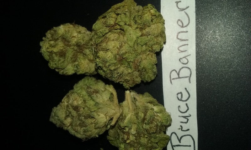 Bruce Banner Hybrid - Tunnel Cannabis 1g | Dis-can Johannesburg - image 14