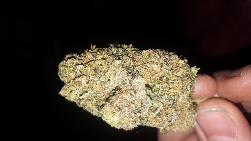 Bruce Banner Hybrid - Tunnel Cannabis 1g | Dis-can Johannesburg - image 15