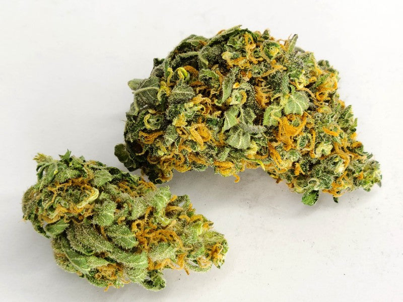 Bruce Banner Hybrid - Tunnel Cannabis 1g | Dis-can Johannesburg - image 17
