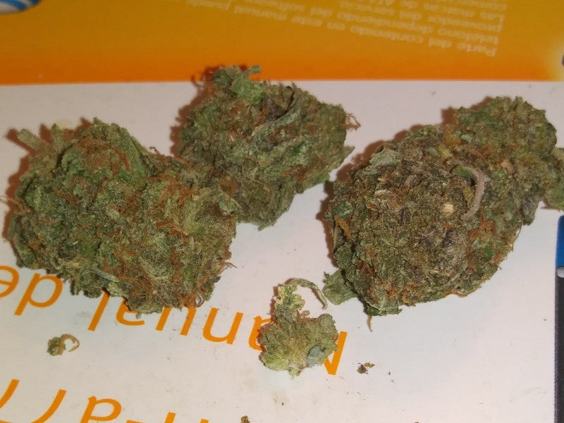 Bruce Banner Hybrid - Tunnel Cannabis 1g | Dis-can Johannesburg - image 21