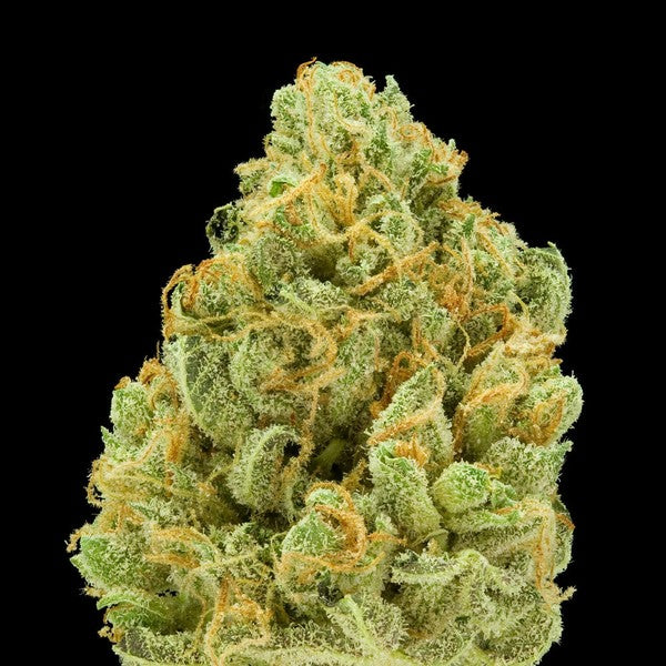 Bruce Banner Hybrid - Tunnel Cannabis 1g | Dis-can Johannesburg