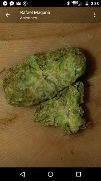 Bruce Banner Hybrid - Tunnel Cannabis 1g | Dis-can Johannesburg