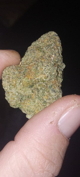 Cali Orange Hybrid - Indoor AAA Cannabis 5g | Dis-can Johannesburg