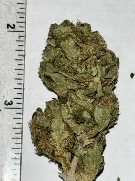 Candy Cheese Hybrid - Indoor Premium Cannabis 3g | Dis-can Johannesburg