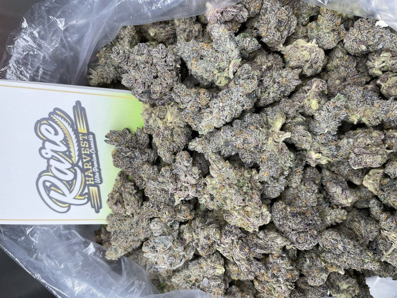 Cap Junky Hybrid - Indoor AAA Cannabis 1g | Dis-can Johannesburg