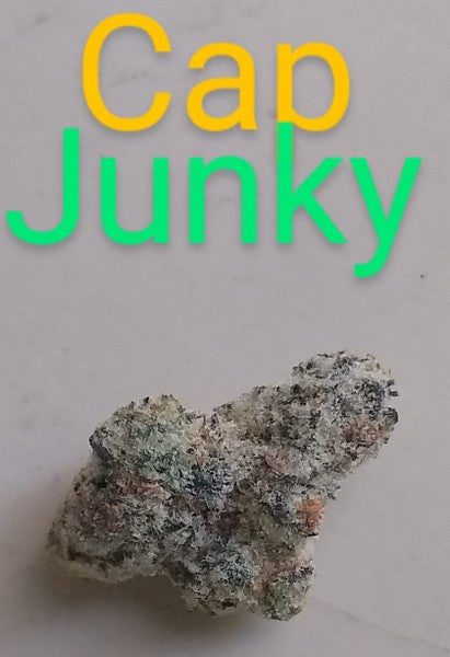 Cap Junky Hybrid - Indoor AAA Cannabis 1g | Dis-can Johannesburg - image 7