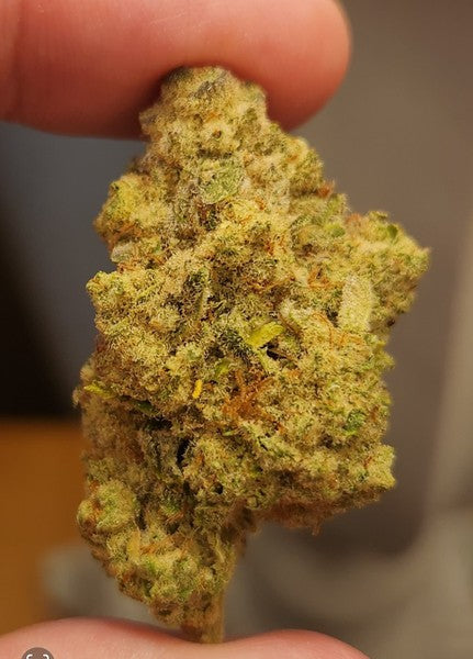 Cap Junky Hybrid - Indoor AAA Cannabis 1g | Dis-can Johannesburg - image 8