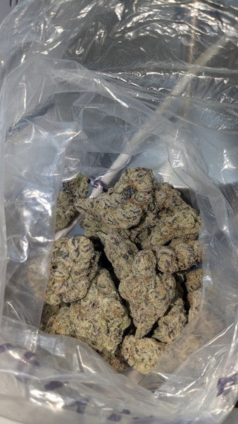 Chimera Hybrid - Indoor AAA Cannabis 20g | Dis-can Johannesburg - image 2