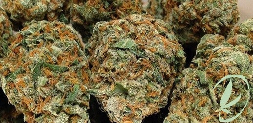 Church (Organic) Hybrid - Indoor AAA Cannabis 20g | Dis-can Johannesburg - image 1