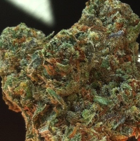 Church (Organic) Hybrid - Indoor AAA Cannabis 20g | Dis-can Johannesburg - image 3