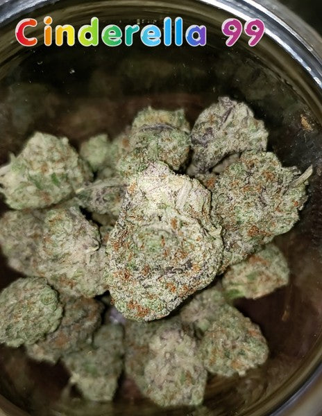 Cinderella 99 Sativa - Indoor AAA Cannabis 1g | Johannesburg | Dis-can - image 2