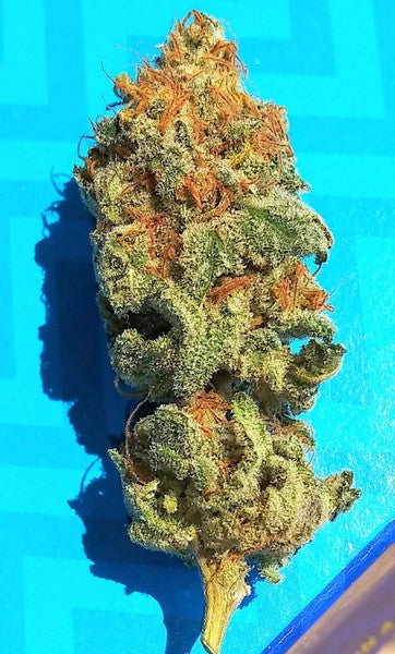 Cinderella 99 Sativa - Indoor AAA Cannabis 1g | Johannesburg | Dis-can