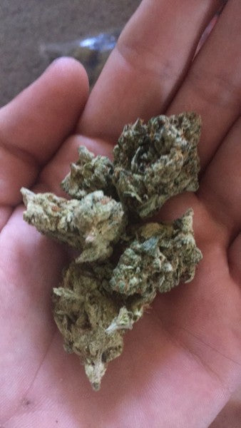 Cinderella 99 Sativa - Indoor AAA Cannabis 1g | Johannesburg | Dis-can