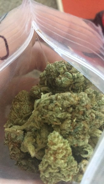 Cinderella 99 Sativa - Indoor AAA Cannabis 1g | Johannesburg | Dis-can - image 9