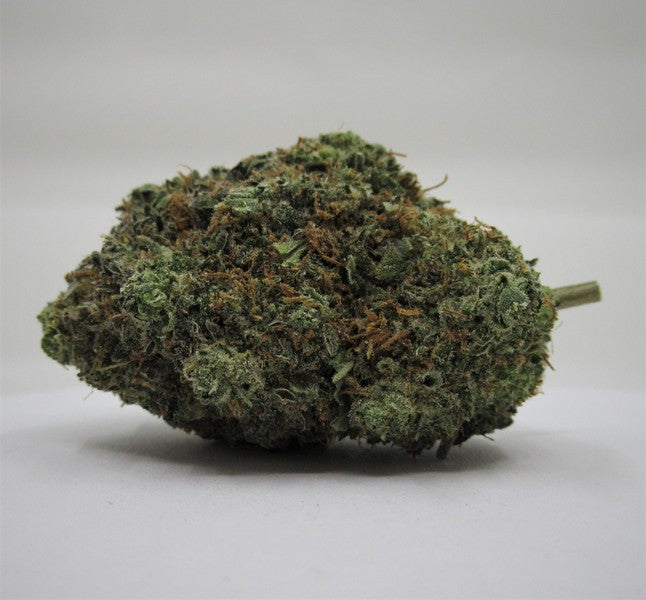 Cinderella 99 Sativa - Indoor AAA Cannabis 1g | Johannesburg | Dis-can - image 14