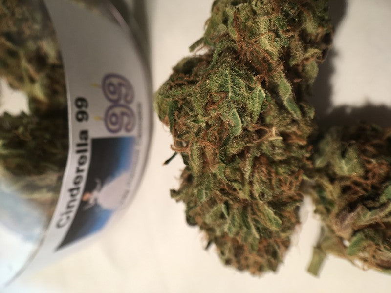 Cinderella 99 Sativa - Indoor AAA Cannabis 1g | Johannesburg | Dis-can