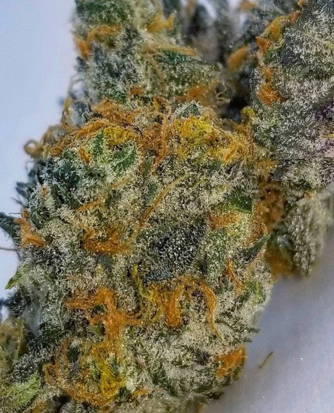Cookies & Cream Hybrid - Popcorn Buds Cannabis 3g | Dis-can Johannesburg - image 4