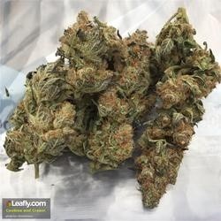 Cookies & Cream Hybrid - Popcorn Buds Cannabis 3g | Dis-can Johannesburg - image 7