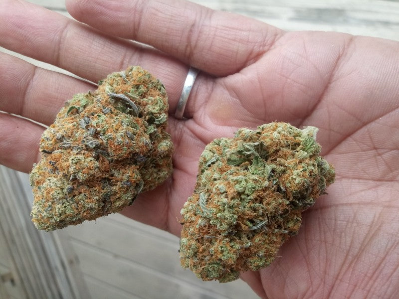 Cookies & Cream Hybrid - Popcorn Buds Cannabis 3g | Dis-can Johannesburg - image 11