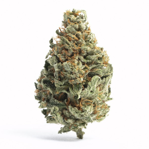 Cool Whip Hybrid - Indoor AAA Cannabis 20g | Dis-can Johannesburg - image 1