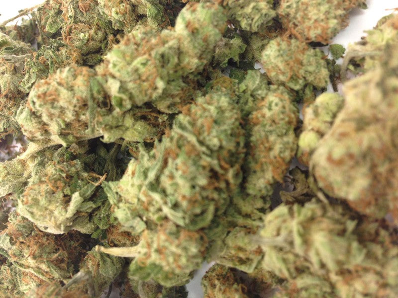 Critical Cheese Hybrid - Tunnel Cannabis 1g | Dis-can Johannesburg - image 1