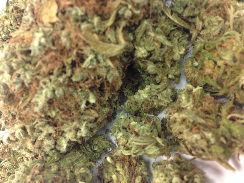 Critical Cheese Hybrid - Tunnel Cannabis 1g | Dis-can Johannesburg - image 2