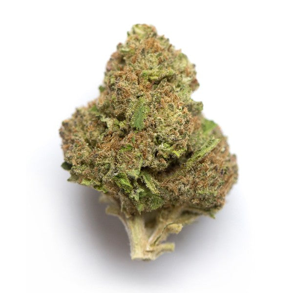 Critical Cheese Hybrid - Tunnel Cannabis 1g | Dis-can Johannesburg - image 4