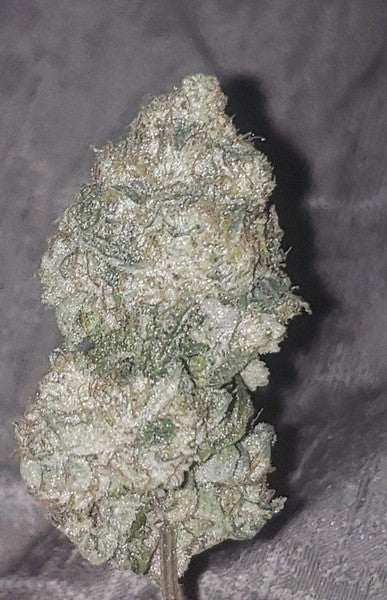 Cupcakes Hybrid - Indoor AAA Cannabis 5g | Dis-can Johannesburg - image 2