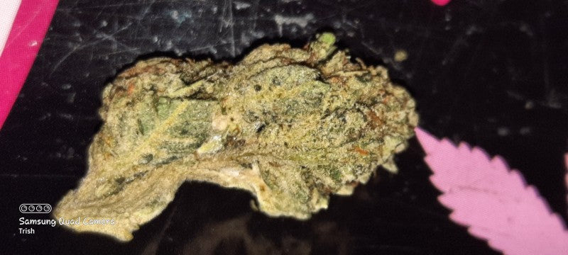Cupcakes Hybrid - Indoor AAA Cannabis 5g | Dis-can Johannesburg - image 3