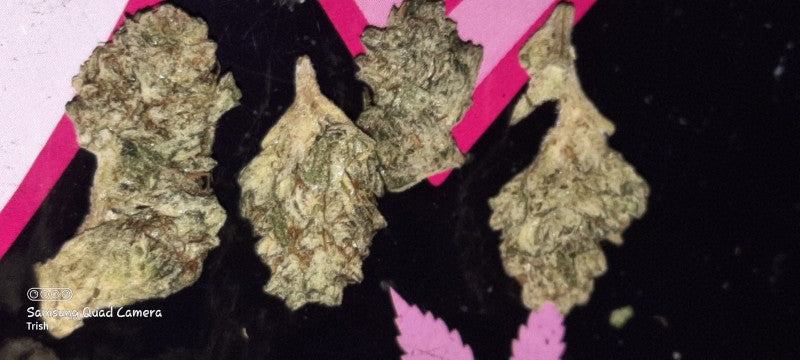 Cupcakes Hybrid - Indoor AAA Cannabis 5g | Dis-can Johannesburg - image 4