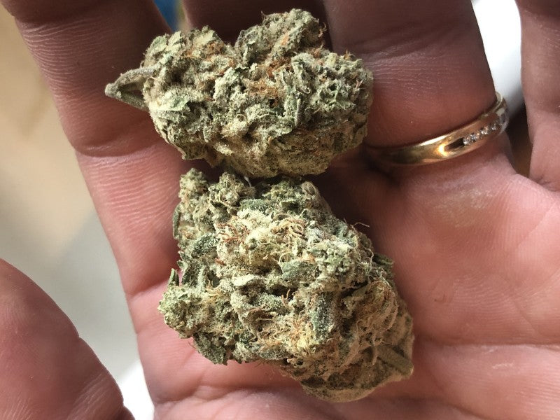 Cupcakes Hybrid - Indoor AAA Cannabis 5g | Dis-can Johannesburg - image 6