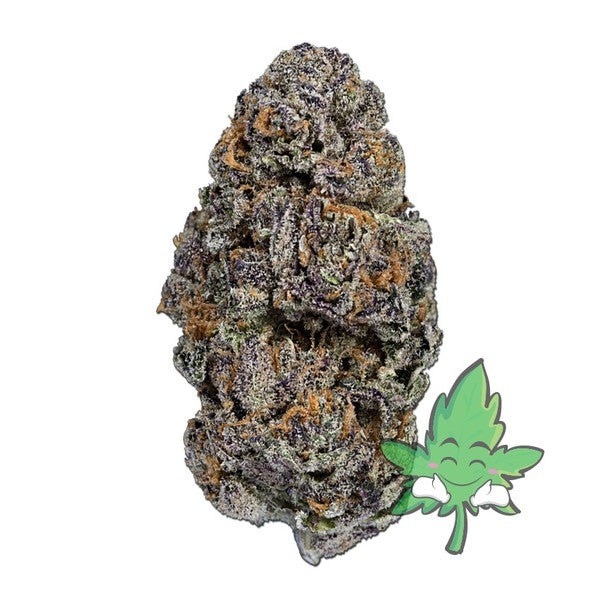 Do-Si-Dos Hybrid - Popcorn Buds Cannabis 3g | Dis-can Johannesburg - image 14