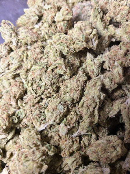 Do-Si-Dos Hybrid - Popcorn Buds Cannabis 3g | Dis-can Johannesburg - image 4