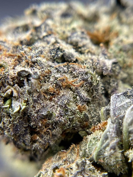 Do-Si-Dos Hybrid - Popcorn Buds Cannabis 3g | Dis-can Johannesburg - image 13