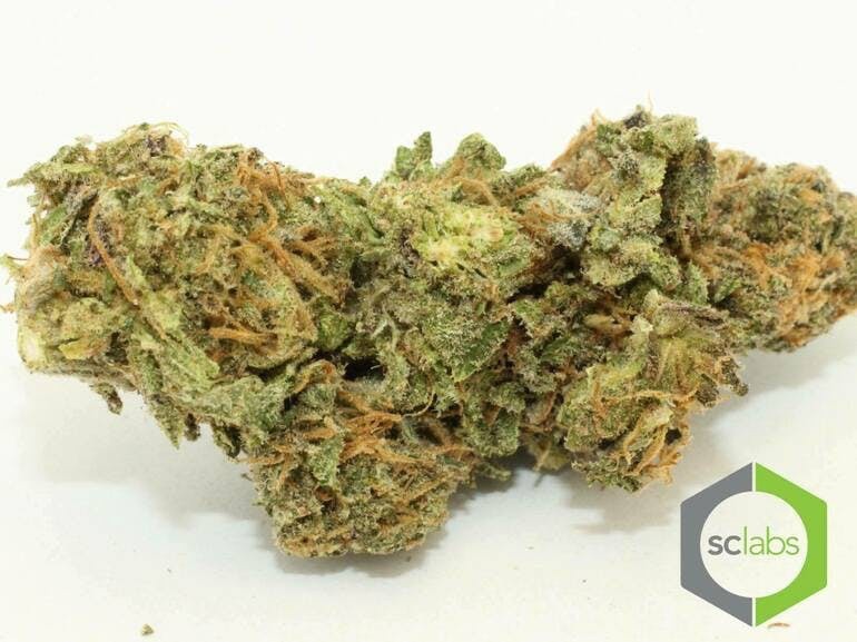 Do-Si-Dos Hybrid - Popcorn Buds Cannabis 3g | Dis-can Johannesburg - image 19