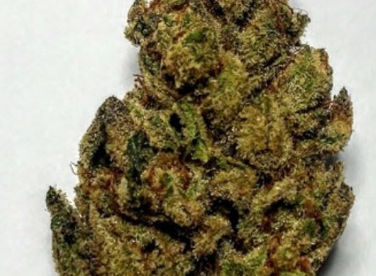 Do-Si-Dos Hybrid - Popcorn Buds Cannabis 3g | Dis-can Johannesburg - image 35
