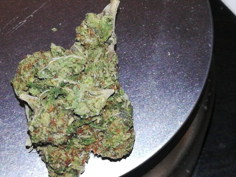 Do-Si-Dos Hybrid - Popcorn Buds Cannabis 3g | Dis-can Johannesburg - image 12