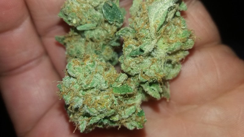 Do-Si-Dos Hybrid - Popcorn Buds Cannabis 3g | Dis-can Johannesburg - image 23