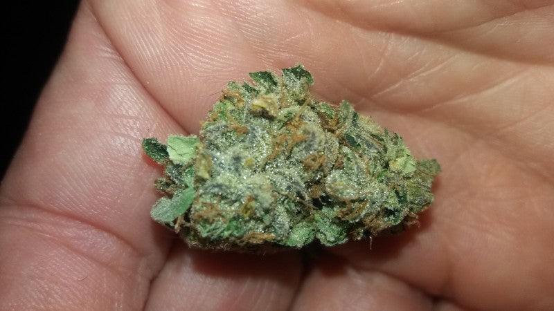 Do-Si-Dos Hybrid - Popcorn Buds Cannabis 3g | Dis-can Johannesburg - image 31