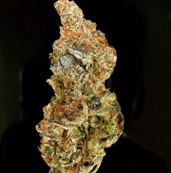 Do-Si-Dos Hybrid - Popcorn Buds Cannabis 3g | Dis-can Johannesburg - image 34
