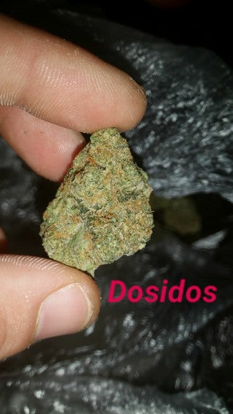 Do-Si-Dos Hybrid - Popcorn Buds Cannabis 3g | Dis-can Johannesburg - image 38