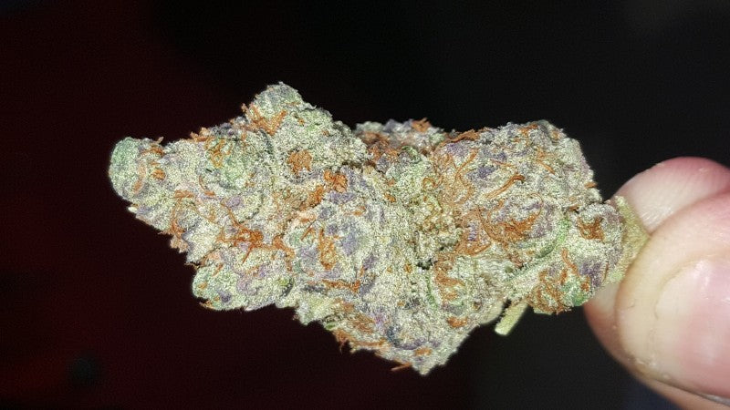 Do-Si-Dos Hybrid - Popcorn Buds Cannabis 3g | Dis-can Johannesburg - image 6