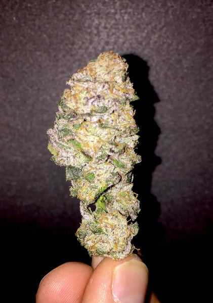 Do-Si-Dos Hybrid - Popcorn Buds Cannabis 3g | Dis-can Johannesburg - image 29