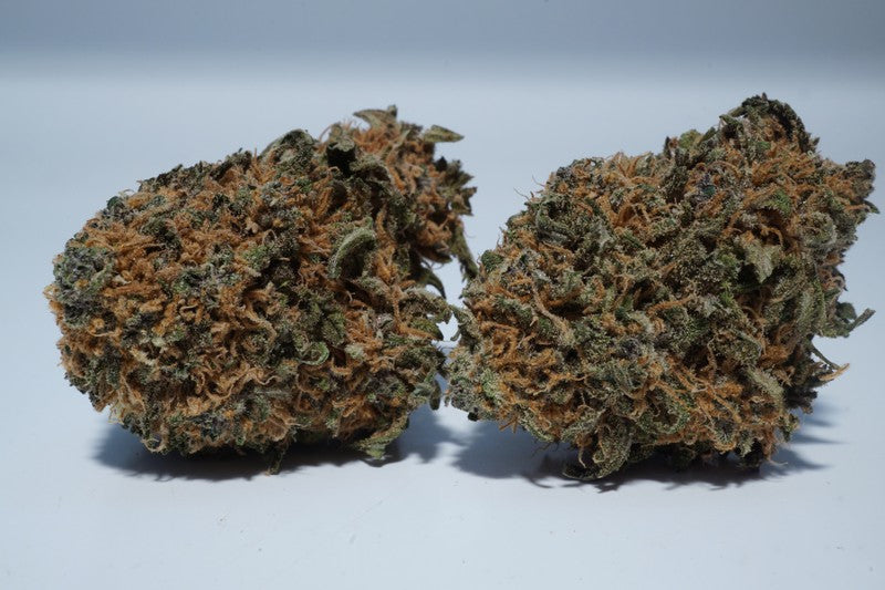 Do-Si-Dos Hybrid - Popcorn Buds Cannabis 3g | Dis-can Johannesburg - image 24
