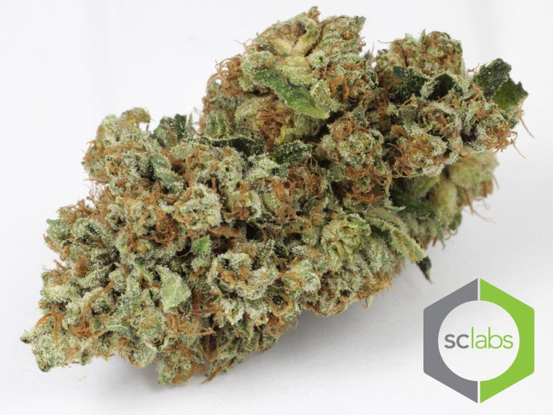 Do-Si-Dos Hybrid - Popcorn Buds Cannabis 3g | Dis-can Johannesburg - image 11